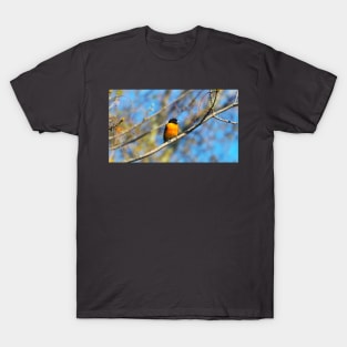 Baltimore Oriole Perched On A Tree Branch T-Shirt